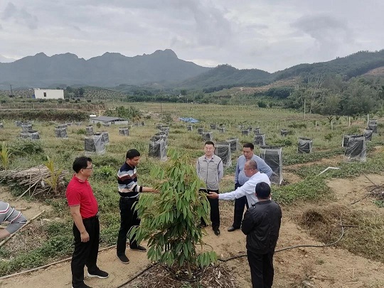 z6com·尊龙(中国)时凯集团