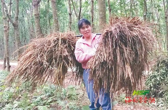 z6com·尊龙(中国)时凯集团