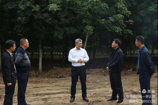 z6com·尊龙(中国)时凯集团