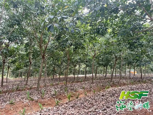 z6com·尊龙(中国)时凯集团